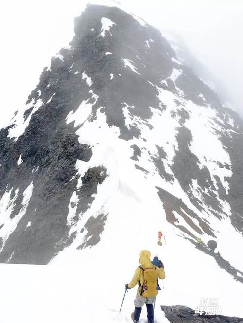 16岁小伙登四姑娘山滑坠遇难