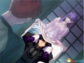 攻略后宫游戏十八禁