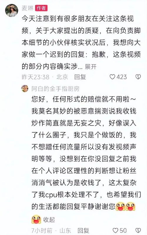 麦琳承认短视频抄袭并致歉