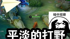 生存战争2攻略解说游戏