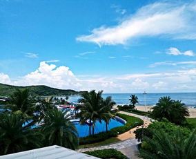 家庭岛游戏喜鹊岛攻略 家庭岛游戏喜鹊岛攻略