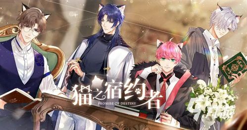 乙女游戏有女生攻略