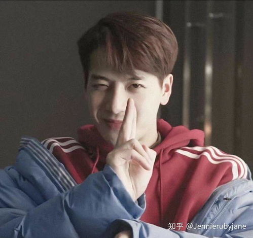 王嘉尔借出收入40%给朋友却遭背刺