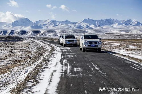 无人区探险穿越攻略游戏