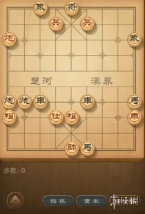 游戏大多数残局棋谱攻略