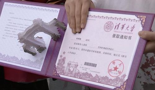 瞒着家人考北大男生:让妈妈拆通知书