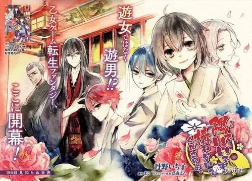 女宠男游戏攻略小说