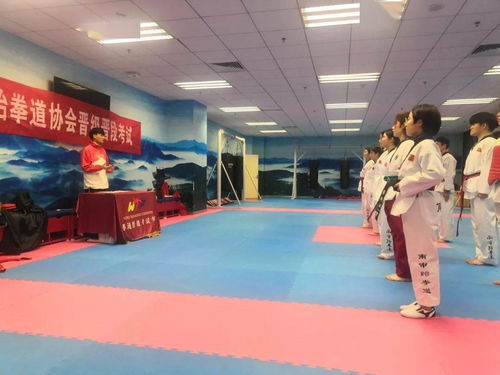 南京跆拳道馆游戏攻略