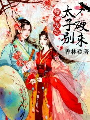 被太子认成宠妃游戏攻略