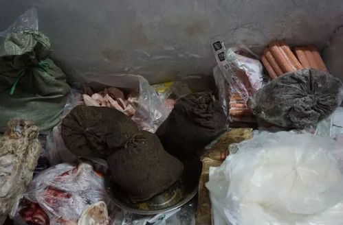 违规炼动物油作坊满地蛆虫老鼠