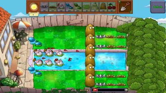 植物花园抖音小游戏攻略