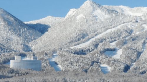 王子的度假村游戏攻略