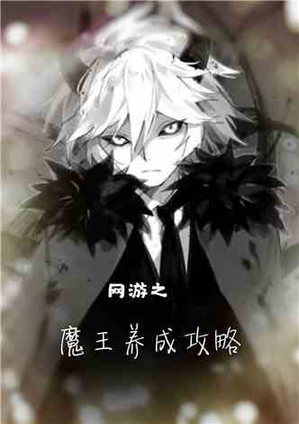 与恶魔共存游戏攻略小说
