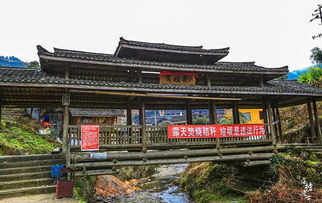 龙脊梯田报团攻略游戏