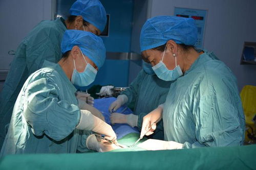 AI帮无精男子抓到“隐形精子”