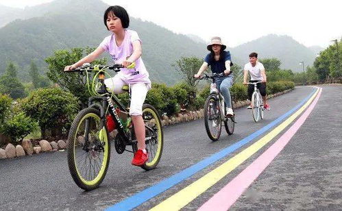 蒜苔是花不能走绿道?收费站回应