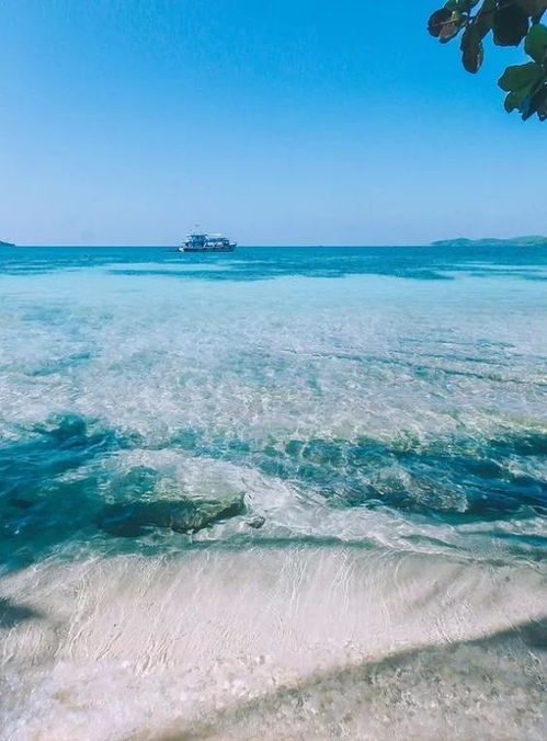 抖音小游戏海岛对决攻略 抖音小游戏海岛对决攻略