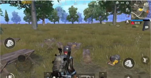 刺激战场游戏攻略吃鸡