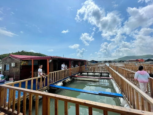 蓝天白云下钓鱼攻略游戏