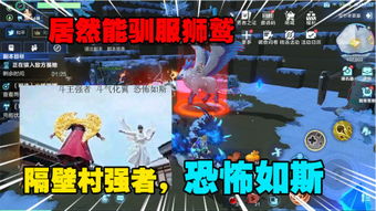 颠倒风云游戏攻略大全