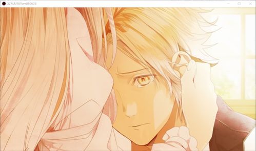 乙女游戏同人志攻略