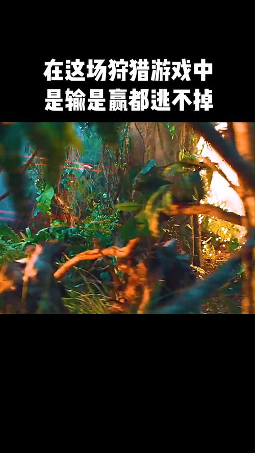 谁也逃不掉在线游戏攻略