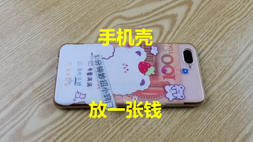 几块钱的手机壳可能有毒或致肾衰竭