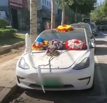 车顶维权车主被判赔17万 事件梳理 车顶维权车主被判赔17万 事件梳理