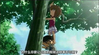 灰原家族游戏攻略图文