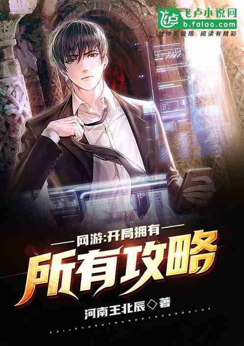 你有没有游戏攻略小说