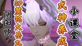 阴阳师战队游戏攻略视频