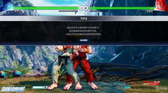 街头霸王5游戏攻略下载 街头霸王5游戏攻略下载