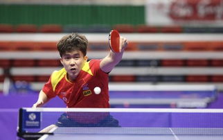 张本智和被王楚钦打出表情包 张本智和被王楚钦打出表情包