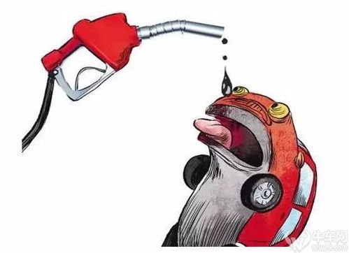 男子误把乙醇当汽油 点火时引火烧身