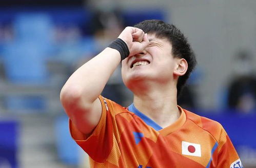 王楚钦4-0横扫张本智和夺冠