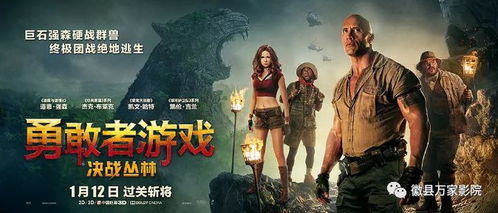 勇敢者追光游戏攻略