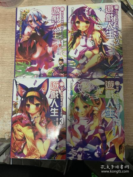 游戏人生订制版攻略小说