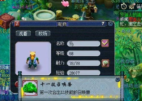 梦幻西游有钱人攻略游戏