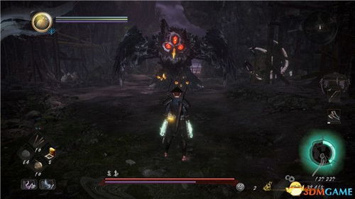 枭狼的虐心游戏攻略