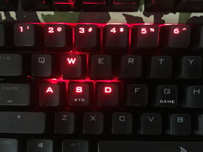 dota2I键(dota2i联赛)