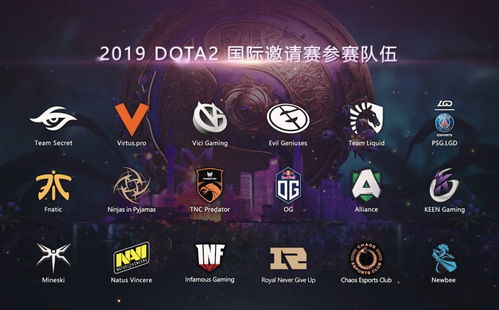 索泰杯dota2(索泰显卡中国官网)