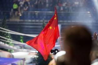 Dota2震中杯赛程图