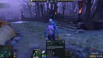 Dota2野怪跟随及野怪堆叠上限示意图