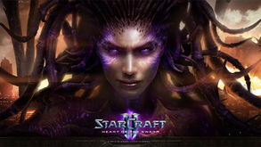 央视dota2词条