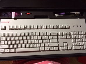 dota2什么键盘够用(dota2键盘推荐)