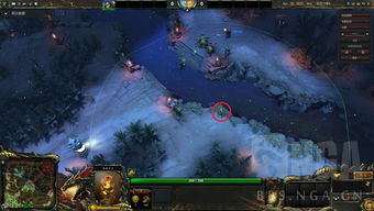 dota2两种眼(dota2的眼)