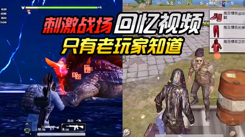 包含dota2苏跳跳成名战视频id的词条
