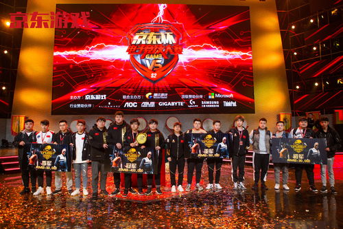 Dota2利雅得大师赛图片