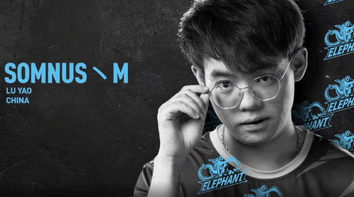 dota2maybe新队(dota2maybe去哪了)