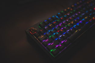dota2E键的简单介绍